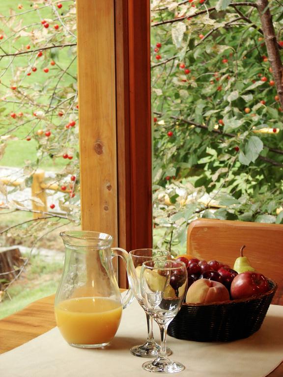 Villa Sofia Resort & Spa San Carlos de Bariloche Ngoại thất bức ảnh